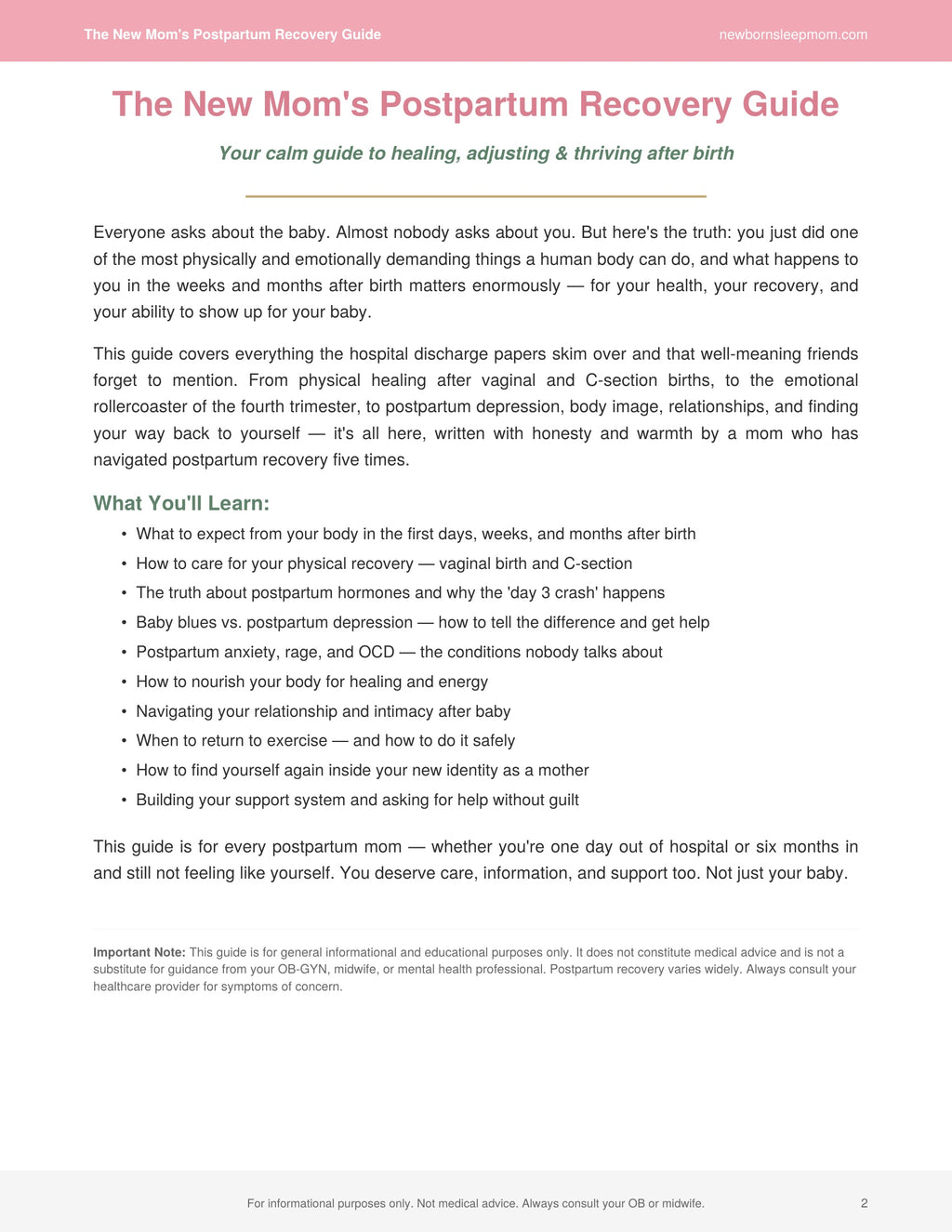 The New Mom's Postpartum Recovery Guide: Your calm guide to healing, adjusting & thriving after birth
