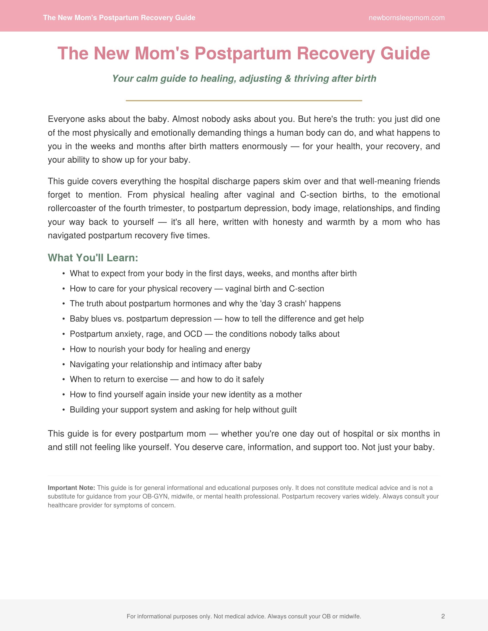 The New Mom's Postpartum Recovery Guide: Your calm guide to healing, adjusting & thriving after birth